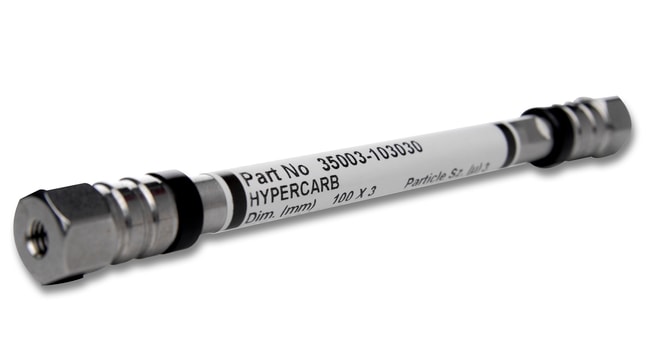 Thermo Scientific HypercarbTM LC-Sa¨ulen